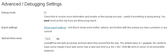Advanced debuggin setteings