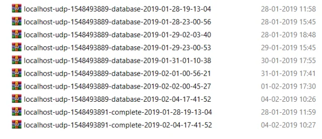 BackupWordPress unzip