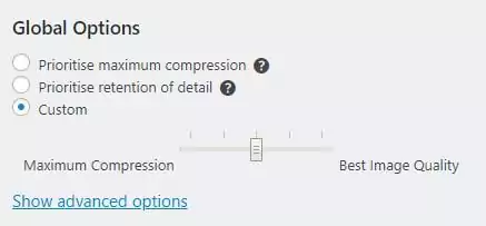 Global custom options