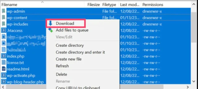 Screenshot showing show to manually migrate your site and save files